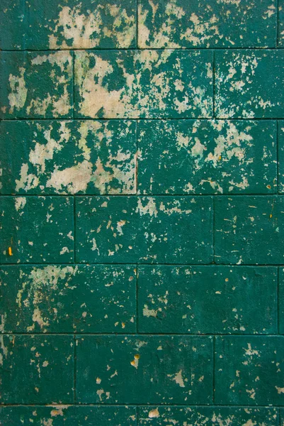 緑の壁のテクスチャ — ストック写真
