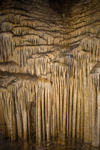 stock image In a cave