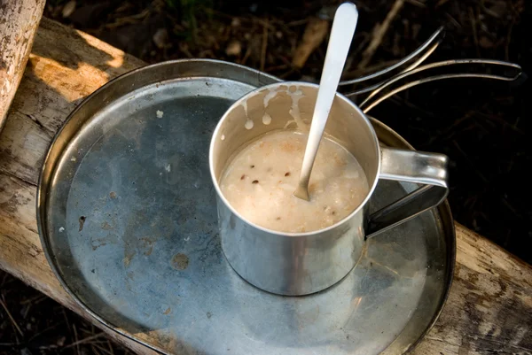 stock image Oat porridge