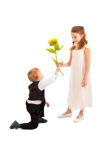 Jongen geeft een meisje een gele bloem — Stockfoto