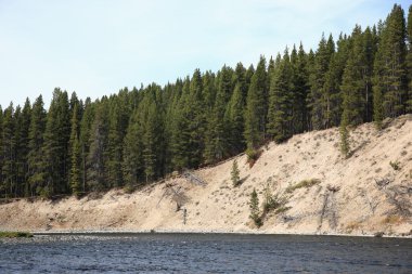 Yellowstone Nehri