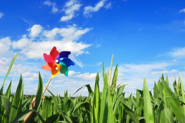 Pinwheel at Corn Field clipart