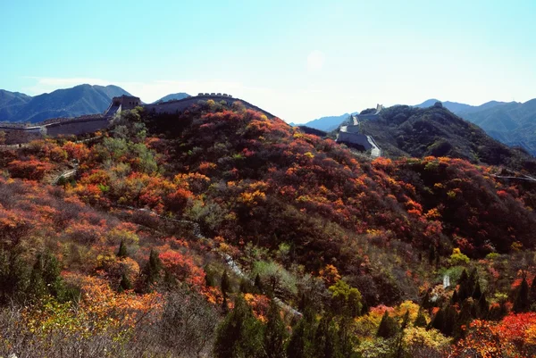 stock image Great wall of Badaling