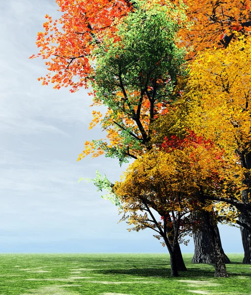 Prachtige herfst landschap — Stockfoto