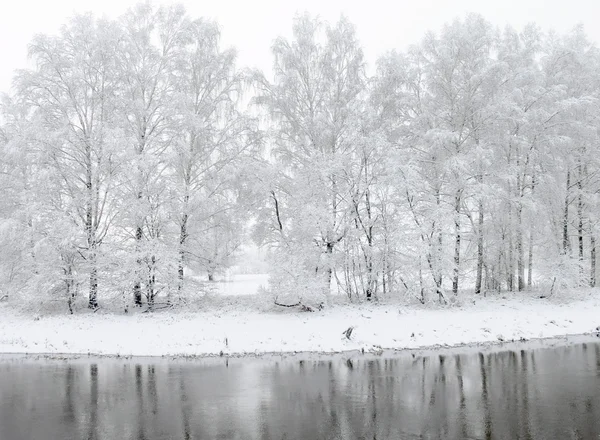 Fehér téli — Stock Fotó