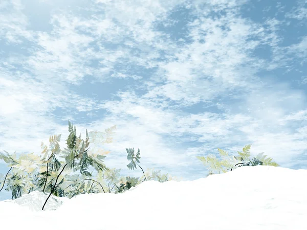 Witte winter — Stockfoto