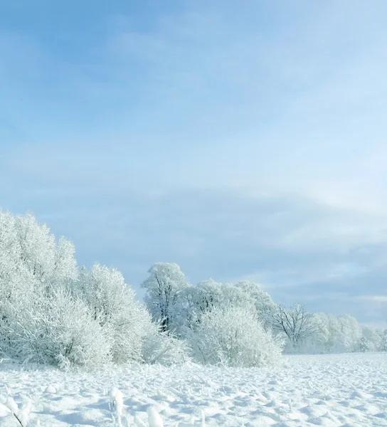 Inverno bianco — Foto Stock