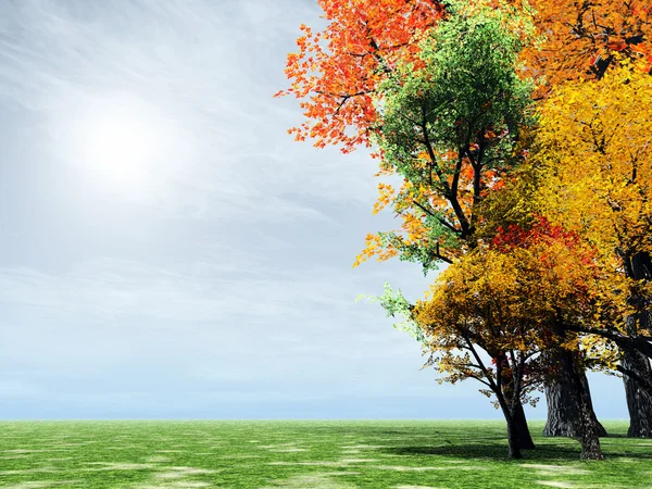 Maravilloso paisaje de otoño — Foto de Stock