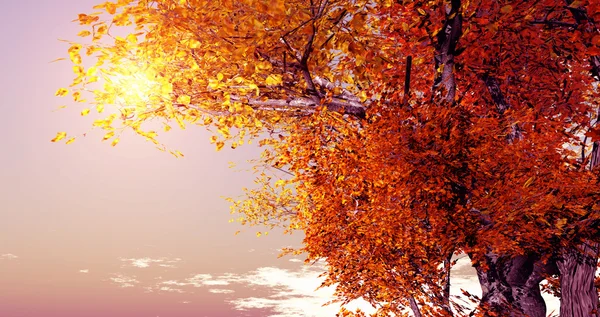 Autumn scenery — Stock Photo, Image