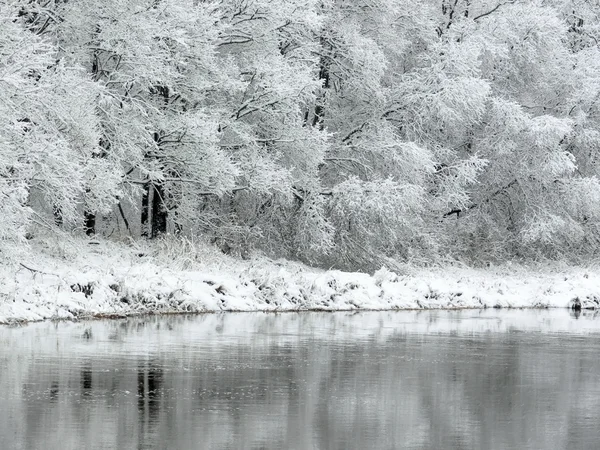 Blanco invierno —  Fotos de Stock