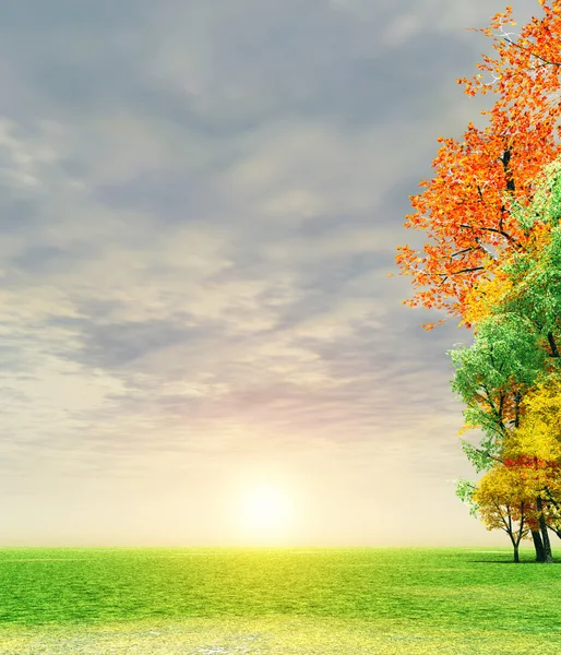 Wunderschöner Herbstsonnenuntergang — Stockfoto