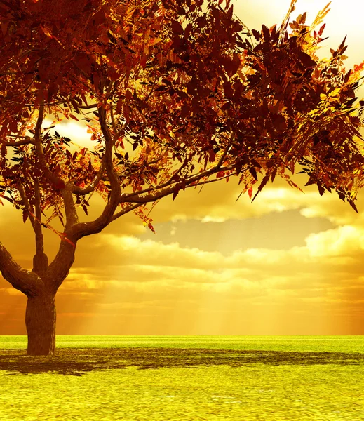 Wunderbare Herbstkulisse — Stockfoto