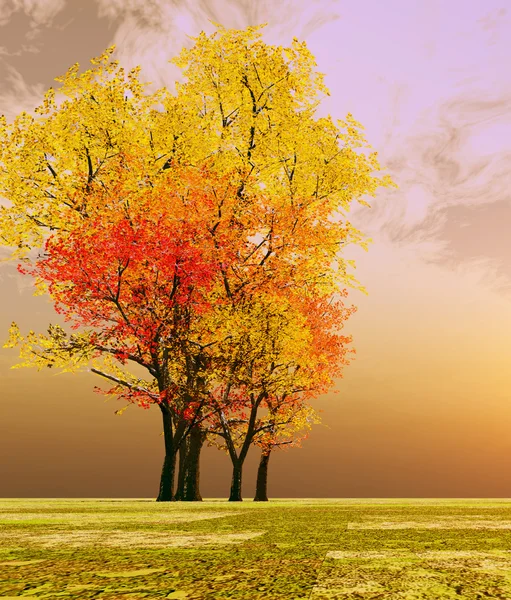 Herbstsonnenuntergang — Stockfoto