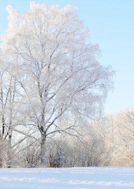 Winter scenery clipart