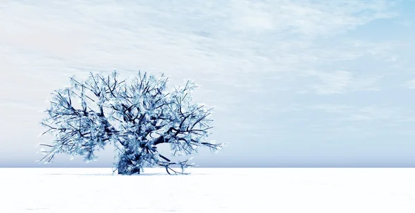 Beyaz kış — Stok fotoğraf
