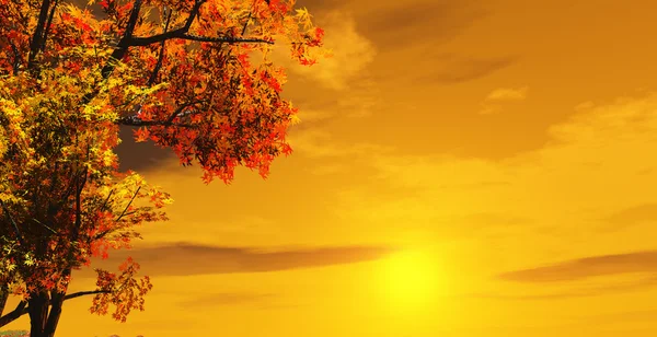 Jesienią zachód słońca — Zdjęcie stockowe