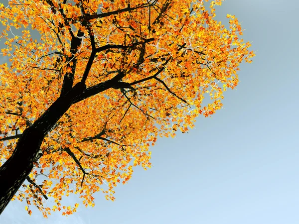 秋の景色 — ストック写真