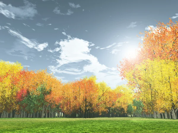 Muhteşem sonbahar manzara — Stok fotoğraf