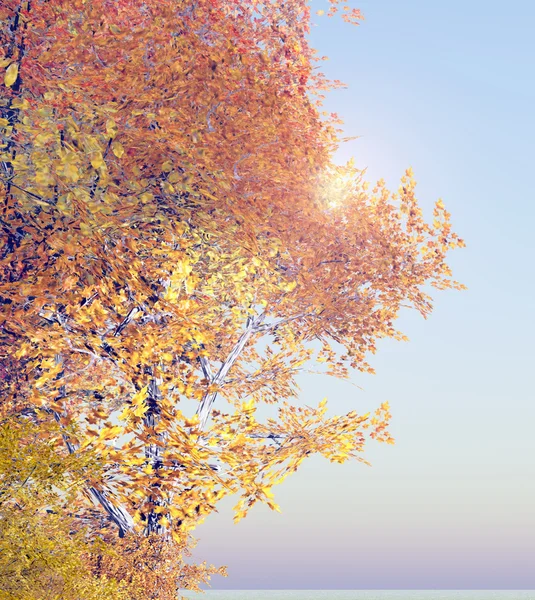 Paysages d'automne — Photo