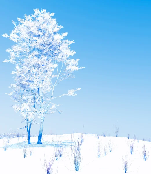 Белая зима — стоковое фото