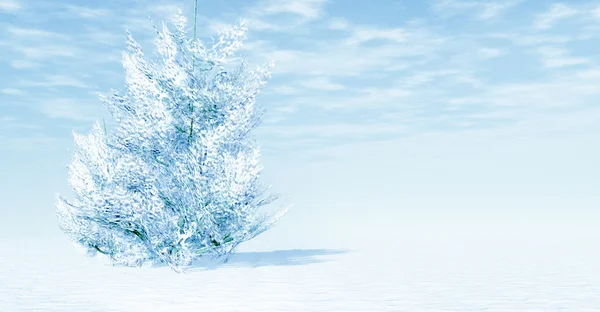 하얀 겨울 — 스톡 사진