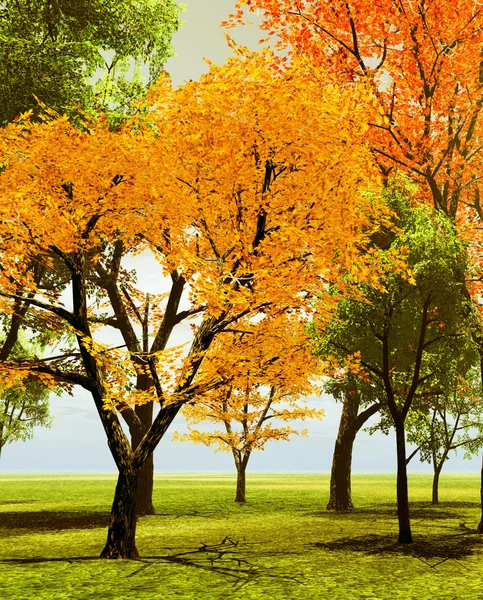 Árboles de otoño —  Fotos de Stock