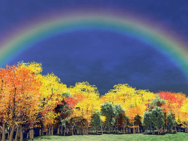 Autumn trees and rainbow — Stock Photo, Image