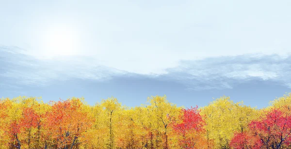 Cenário de outono — Fotografia de Stock