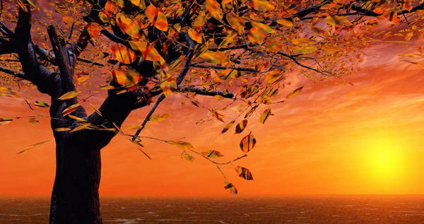Восени захід сонця — стокове фото