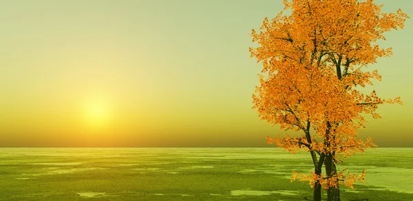 Puesta de sol de otoño — Foto de Stock
