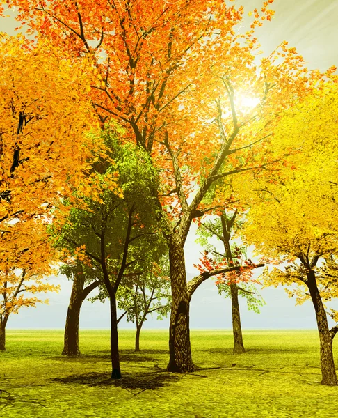 Herbstbäume — Stockfoto