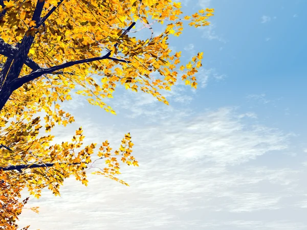 Wonderful autumn scene — Stock Photo, Image
