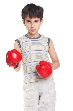 Little boxer clipart