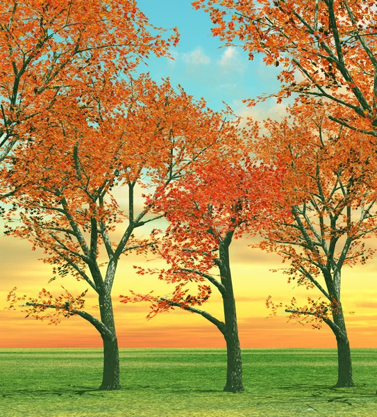 美丽的秋天树木 — 图库照片