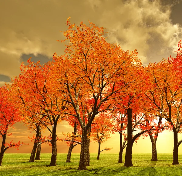 Hermoso otoño — Foto de Stock