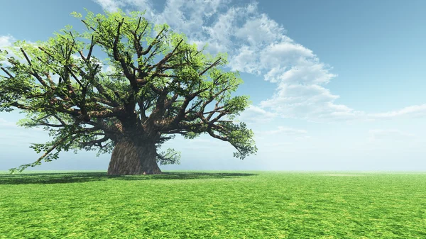 Etkileyici baobab — Stok fotoğraf