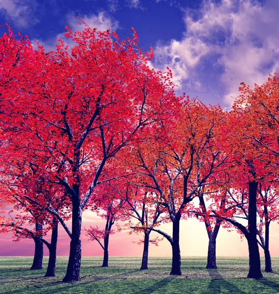 Vackra hösten — Stockfoto