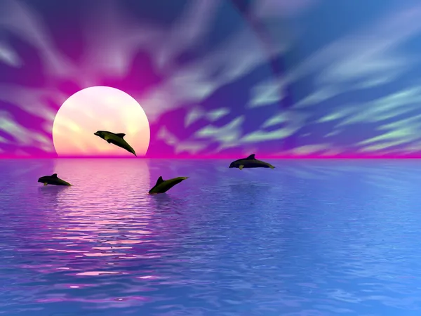 Sonnenuntergang mit Delfinen — Stockfoto