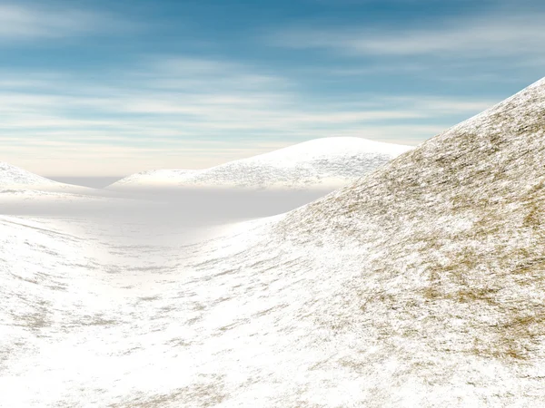 stock image Winter landscape