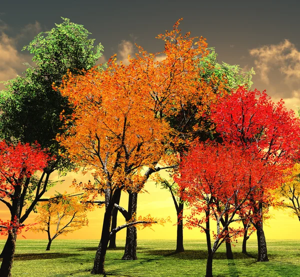 美丽的秋天夕阳 — 图库照片