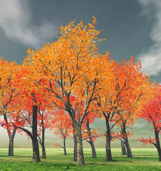 Schöner Herbst — Stockfoto