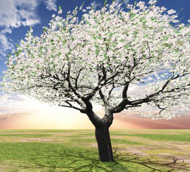 Blossoming tree in the sunset clipart