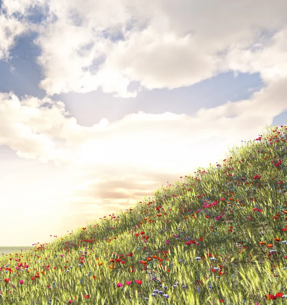 Weizenfeld mit Blumen — Stockfoto
