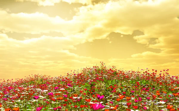 Hermosas flores — Foto de Stock