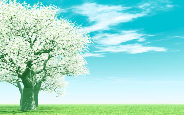Vackert blommande träd — Stockfoto
