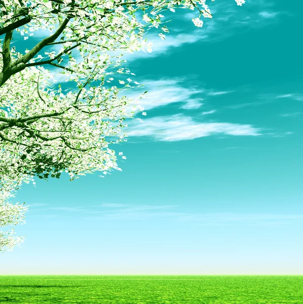 Bela paisagem primavera — Fotografia de Stock