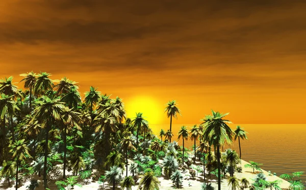 Kaunis auringonlasku saaren yllä — kuvapankkivalokuva