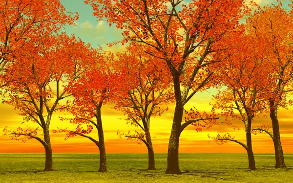 Belas árvores de outono — Fotografia de Stock