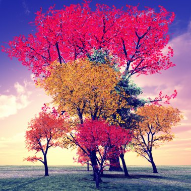 Beautiful autumn sunset clipart