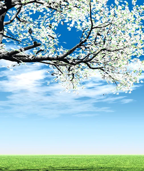 Prachtige lente landschap — Stockfoto